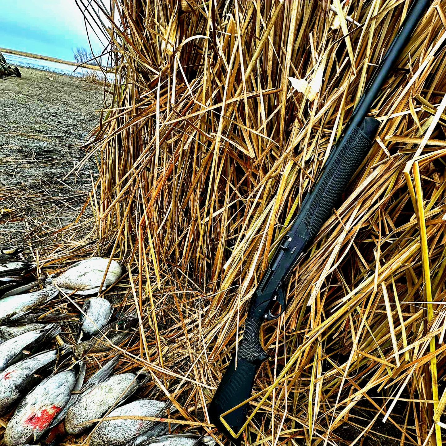 Shotgun Stippling Service